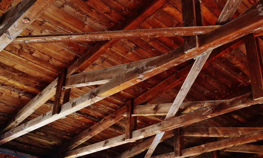 Charpente en bois d'une rénovation — illustration décorative